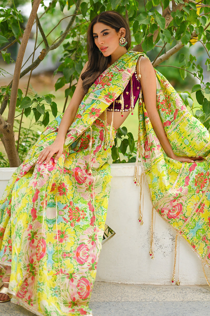 Choli & Saree-Khaddi Silk