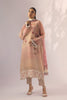 Shirt & Dupatta-Cotton Net
