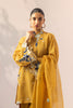 Shirt & Dupatta-Khaddi Corduroy