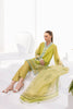 Shirt & Dupatta-Cotton Net