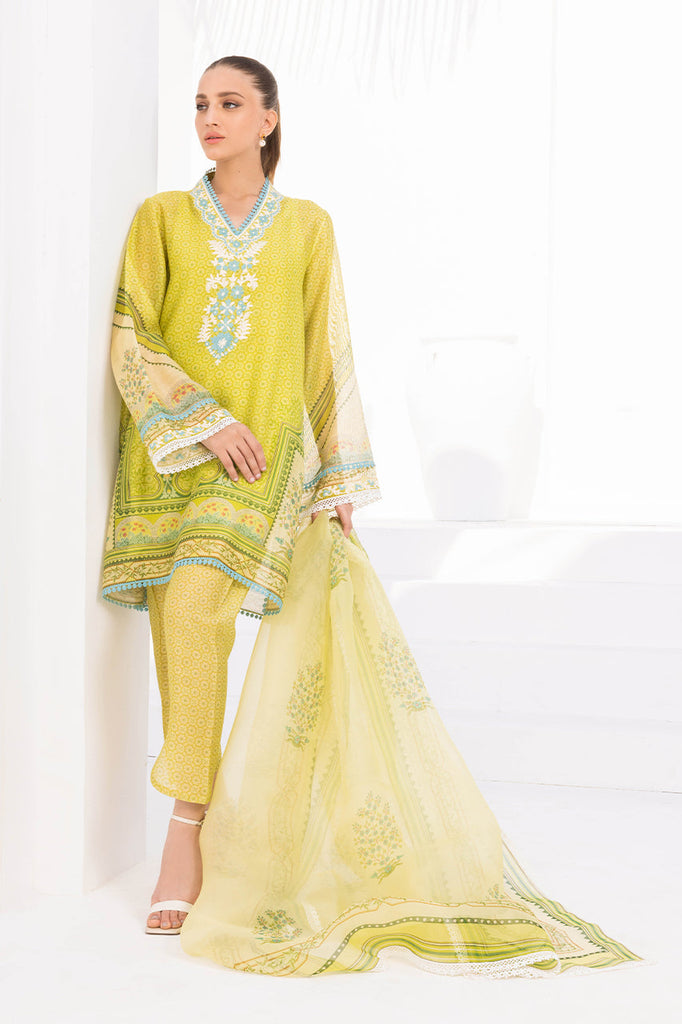 Shirt & Dupatta-Cotton Net