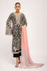Shirt & Dupatta-Organza