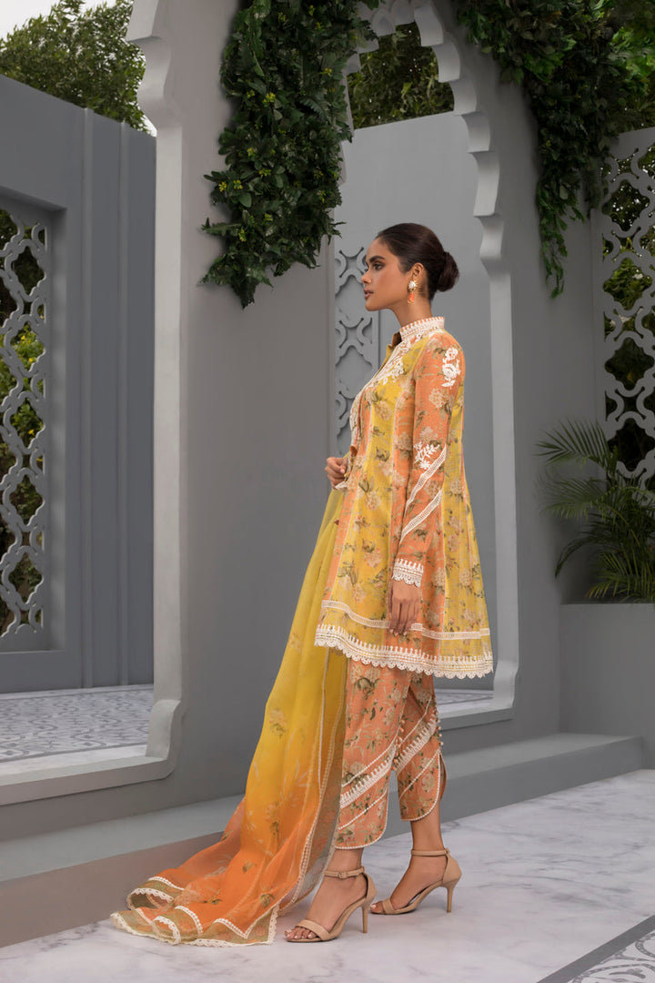 Peshwas & Dupatta-Cotton Net