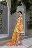 Peshwas & Dupatta-Cotton Net
