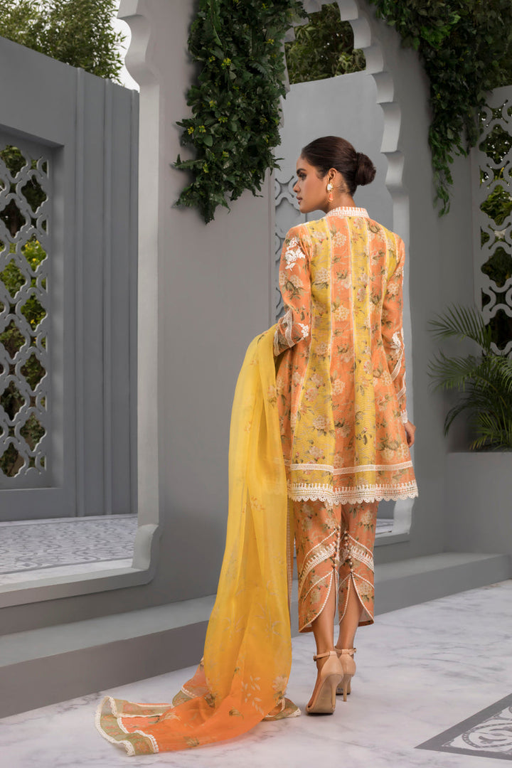 Peshwas & Dupatta-Cotton Net