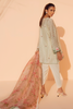Shirt & Dupatta-Cotton Net