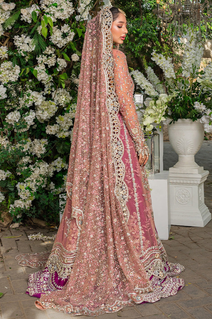 Full Set-French Net