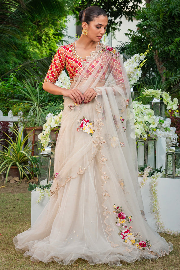 Choli & Saree-Net