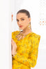 Shirt & Dupatta-Khaddi Silk