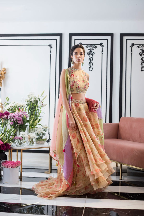 Lengha & Choli-Organza