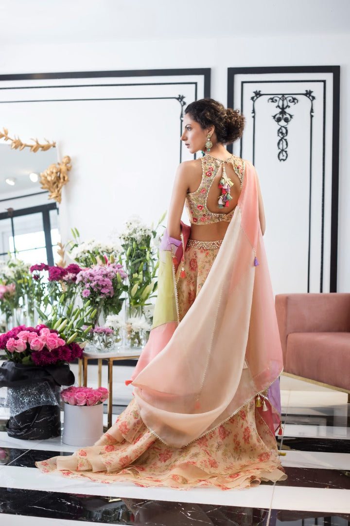Lengha & Choli-Organza