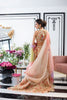 Lengha & Choli-Organza