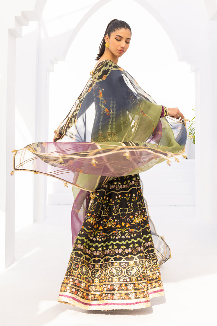 Peshwas & Dupatta-Raw Silk