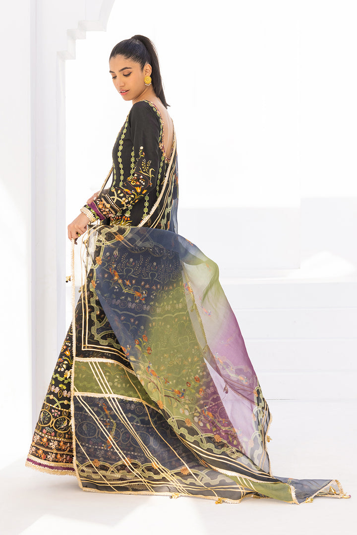Peshwas & Dupatta-Raw Silk