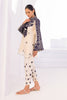 Shirt-Woven Khaddi Silk