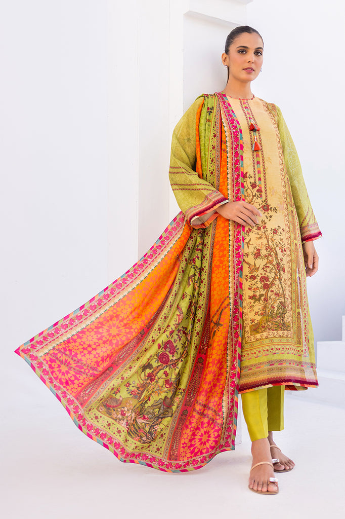 Shirt & Dupatta-Cotton Net