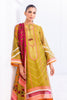 Shirt & Dupatta-Cotton Net
